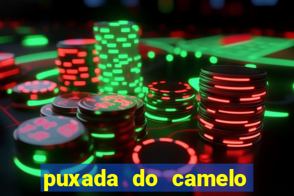 puxada do camelo no jogo do bicho